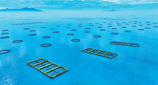 深度调研 | “百千万工程”:如何破题城乡区域发展不平衡