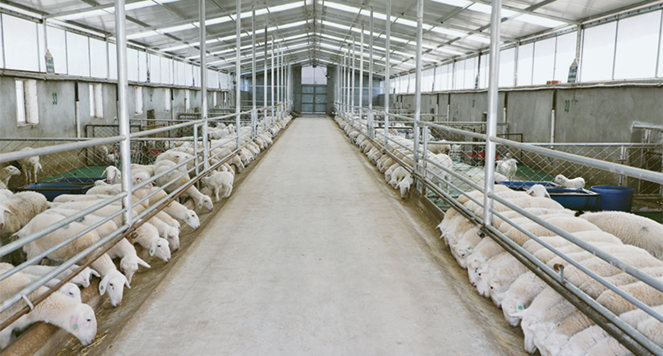 深度调研 | 布楞沟村调查:脱贫村全面振兴之路