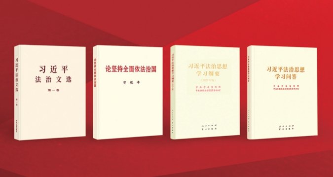 体系化学理化研究阐释 | 法治道路论